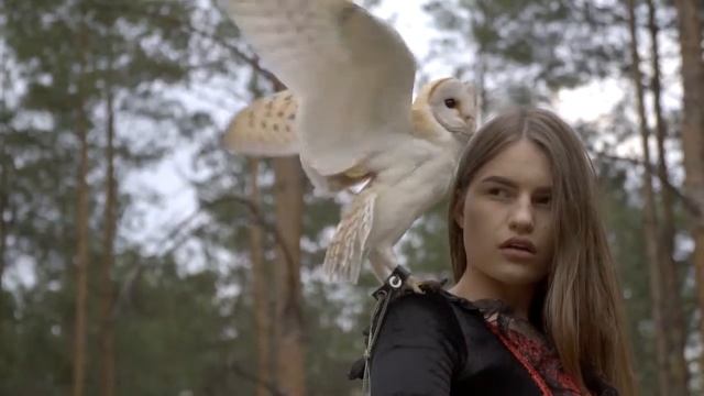 Сова СИПУХА  Фото видео сессия с совой в лесу  Video Session With An Owl In The Forest