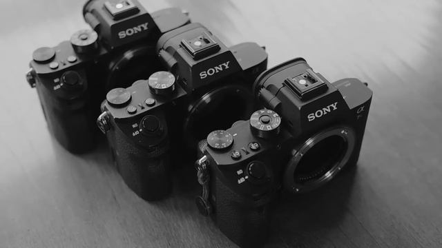 Welches Ist Die Beste Sony A7 II (A7RII Vs A7SII Vs A7II) Kamera? ? TECHNIK ? Krolop&Gerst