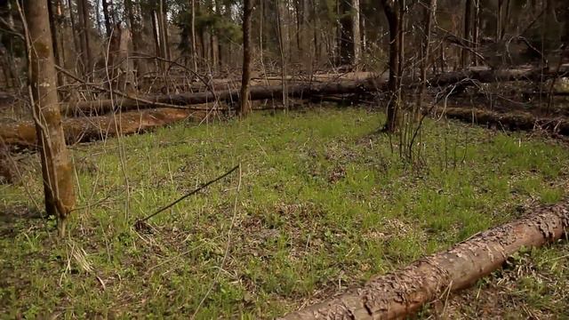 поход с бензиновым примусом Шмель 1 смотреть онлайн