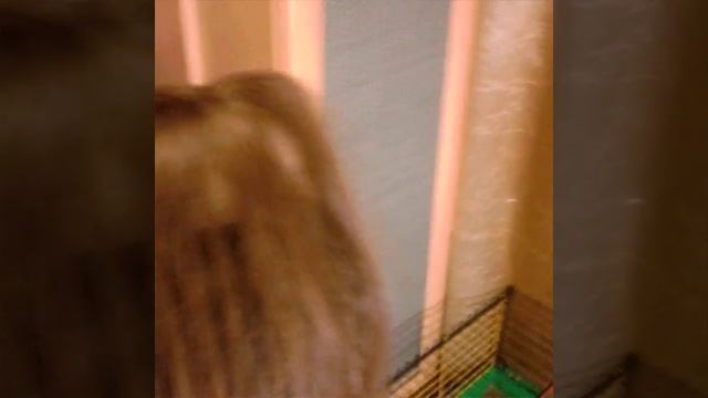 Как сделать пучок ?