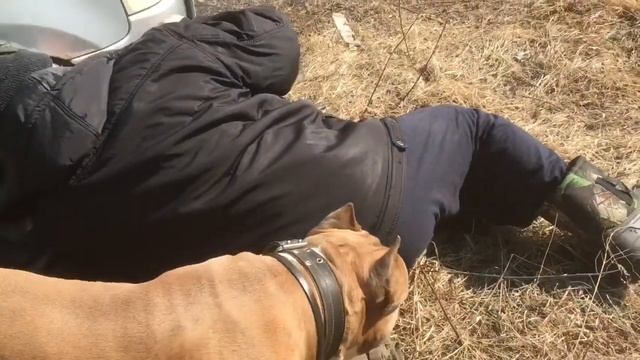 Помыли машину заменили воздушный фильтр смотреть онлайн