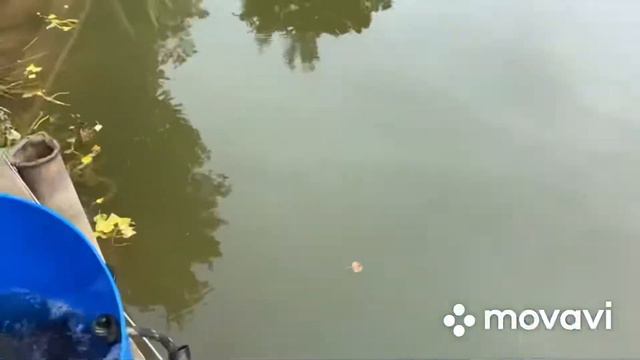 Форель. Ольгово. Запуск смотреть онлайн