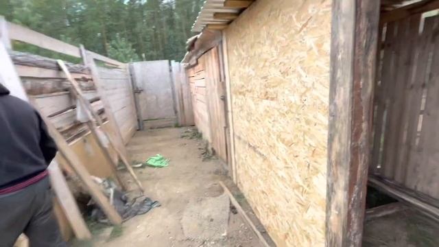 Часть вторая. Строим толи сарайку толи теплый вагончик ?♂️. Строим вместе ?