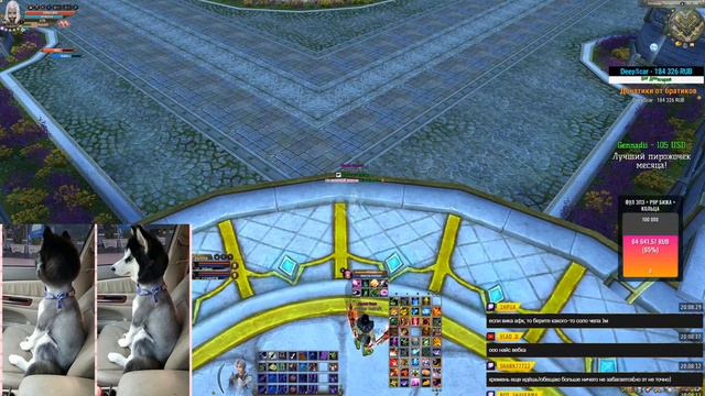 Perfect World PVP Assassin смотреть онлайн