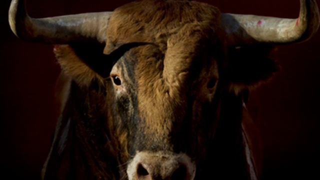 Петр Брандт. Быки Испании смотреть онлайн