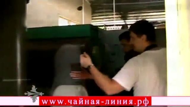 Производство Да Хун Пао смотреть онлайн