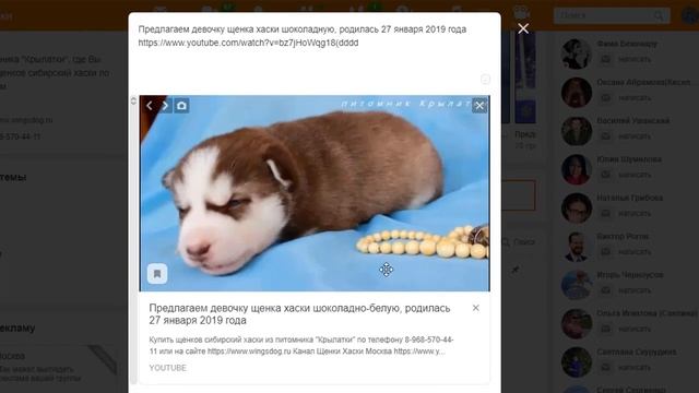 Как опубликовать видео на Одноклассниках, чтоб просмотры засчитывались на YouTube? смотреть онлайн