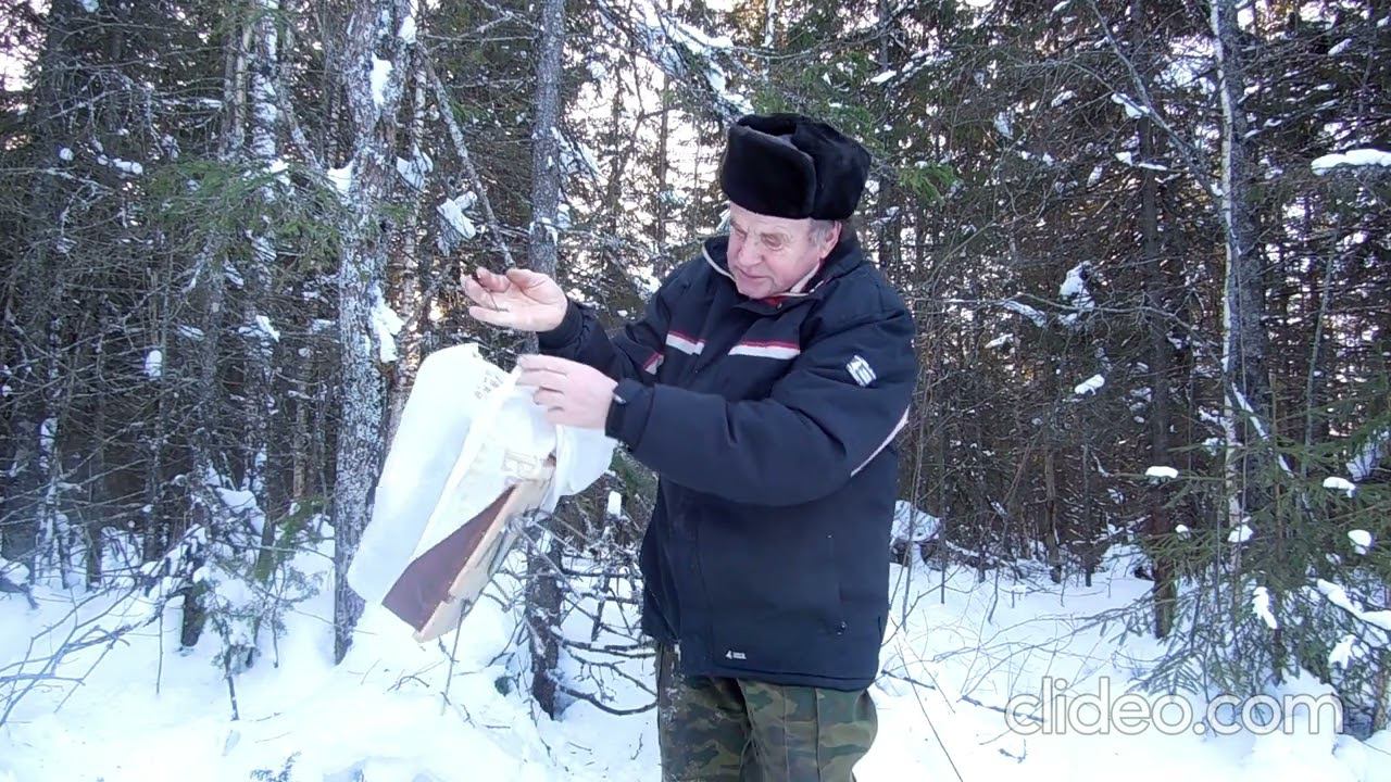 Храним капканы в лесу. смотреть онлайн