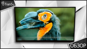 Короткий обзор на 2k-quad HD монитор TianSu с ozon (жми 🚀)