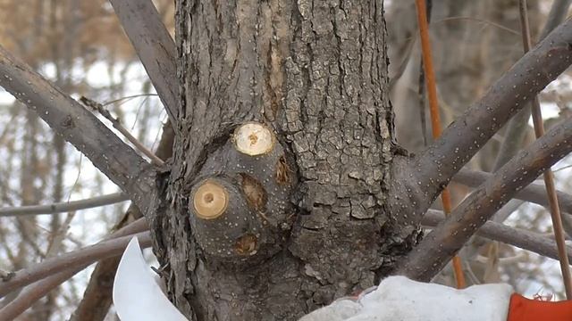 Выбор садового ножа смотреть онлайн