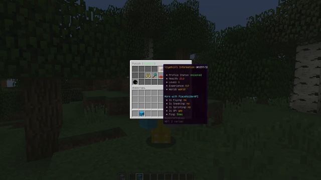 #6 ПЛАГИН PLAYER PROFILES. ПРОФИЛЬ ИГРОКОВ #minecraft #playerprofiles #майнкрафт #plugin смотреть онлайн