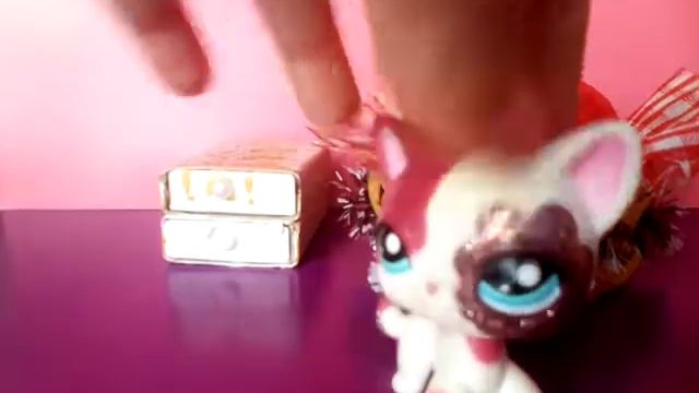 LPS:10 типов начинающих лпс-блогеров. смотреть онлайн