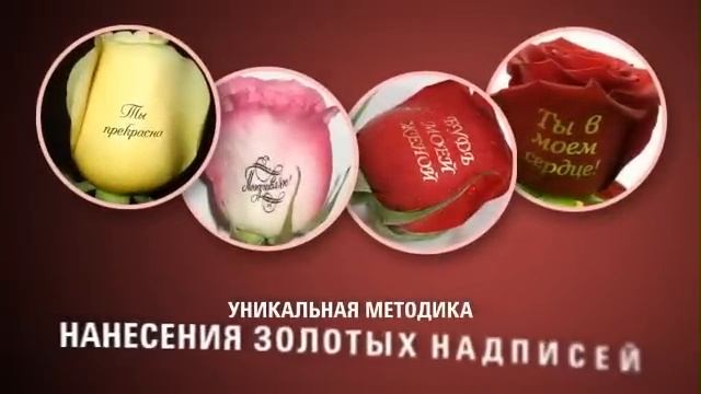 Бизнес предложение. Наклейки на цветы от Magic-Roses смотреть онлайн