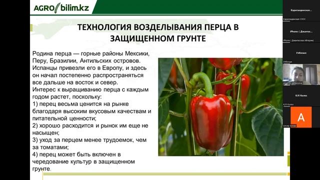 Культивирование перца и томата в защищенном грунте смотреть онлайн