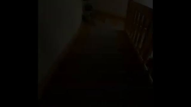 Самая умная лестница смотреть онлайн