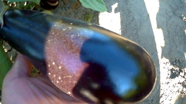 баклажан фабина ф1 смотреть онлайн