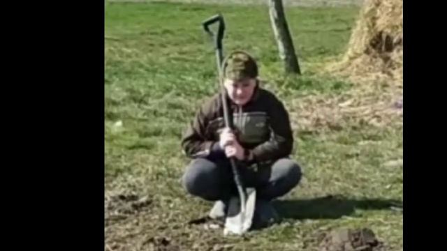 Гнила вишня дубль 3 смотреть онлайн