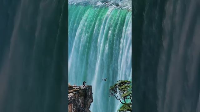 Водопад Игуасу, Аргентина смотреть онлайн