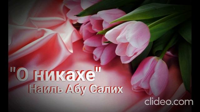 2. О никахе. 💗 "Семейная жизнь в Исламе". Никах (Женитьба). Этикет Бракосочетания. Наиль Абу Салих. смотреть онлайн