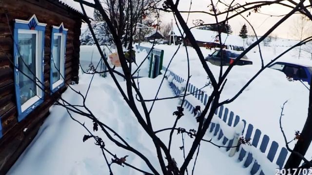 Птички-синички