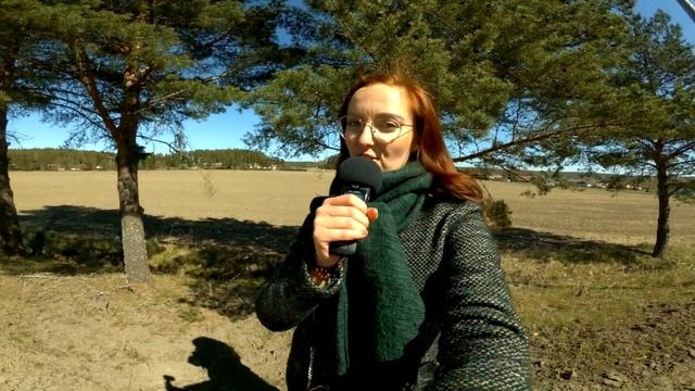 КАК РУГАТЬСЯ И ХВАЛИТЬ ПО-ФИНСКИ? Puhekieli смотреть онлайн