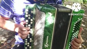 Рио-Рита!Разбор на баяне!