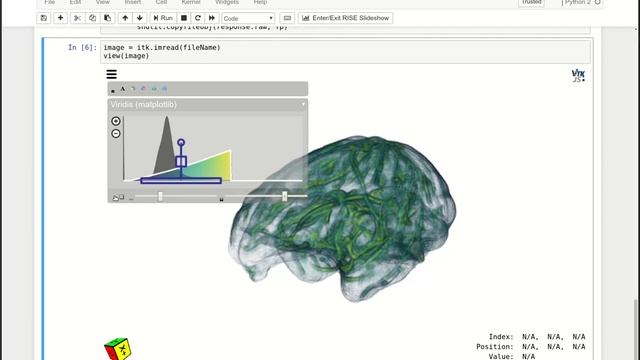 Monkey Brain MRI 3D Visualization in Jupyter смотреть онлайн