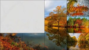 Детская песня про осень - Осень в лесу