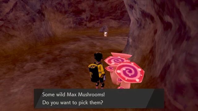 Pokémon Sword and Shield how to get Max Mushrooms смотреть онлайн