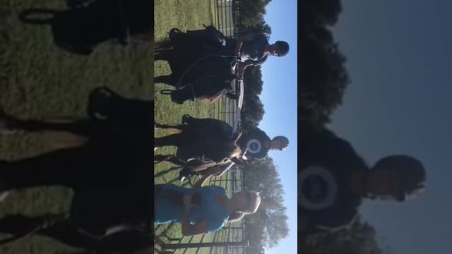 Using kind words horse game with toilet paper. смотреть онлайн