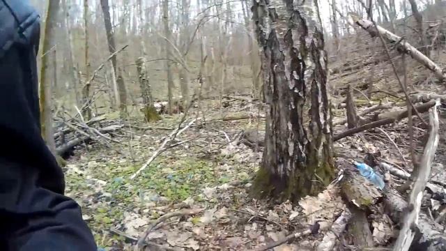 Сбор берёзового сока смотреть онлайн