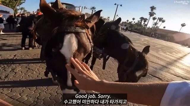 What happens when Koreans go to Morocco EP.1 смотреть онлайн