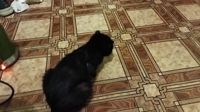 В Великом Новгороде снег не заканчивается, всë белым-бело смотреть онлайн