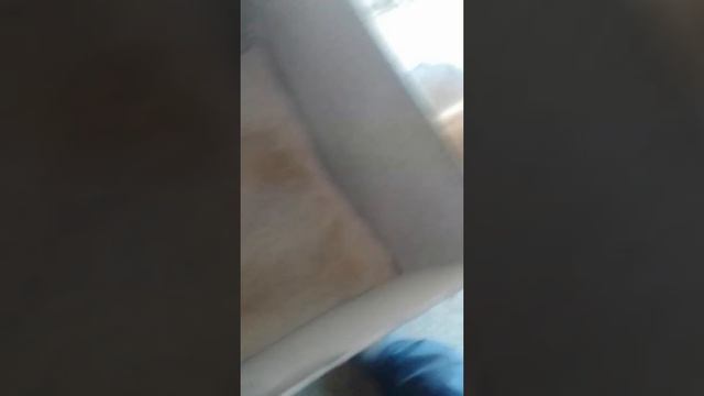 жизнь в алтайской деревне смотреть онлайн