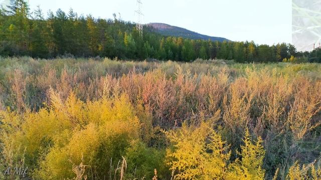 Прощай лето.. #пейзажилета #прощайлето #озеробайкал #август2020 #пейзажилета смотреть онлайн