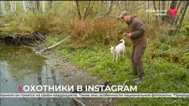 Охотники в Instagram | Тюменская область смотреть онлайн
