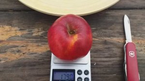 Яблоки иммунные зимние сорта Стори Иноред (apple Story Inored ) и КООП 10. Обзор и дегустация