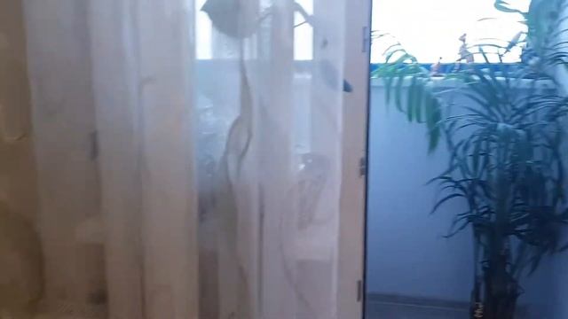 Студия 27,9 кв.м. В поселке им.Свердлова смотреть онлайн