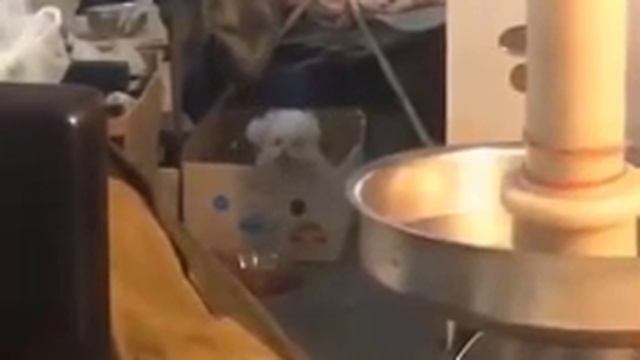 Когда тебя прёт! смотреть онлайн