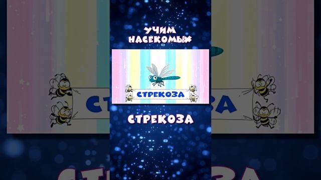 Насекомые | Учим насекомых | Викторина про насекомых | Стрекоза #насекомые #учимнасекомых #детский смотреть онлайн