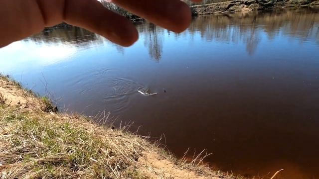 Первый раз фидер в руках!Salmo Feeder Elita 120 смотреть онлайн