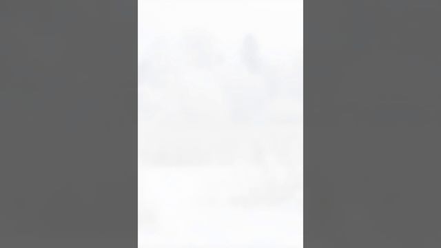 САМАЯ НЕОБЫЧНАЯ ПЕСНЯ: "А ЗИМА БУДЕТ БОЛЬШАЯ" #Визбор #Ромадин #ЗИМА смотреть онлайн