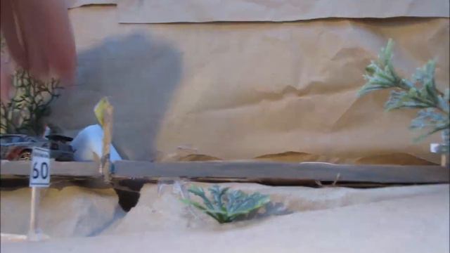 Hot Wheels NFS The Run Chase смотреть онлайн