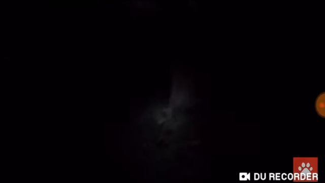 2 реальных леших снятых на камеру (видео от Черного кота)