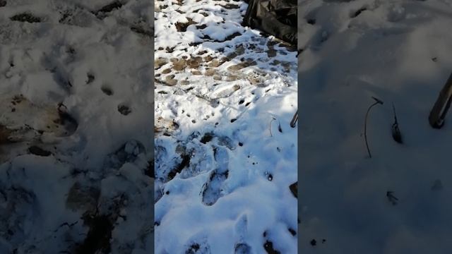 Утепление молодых плодовых деревьев на зиму смотреть онлайн
