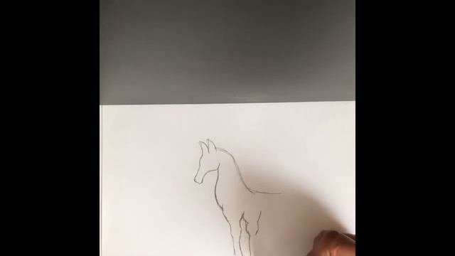 Как нарисовать лошадь ?? смотреть онлайн