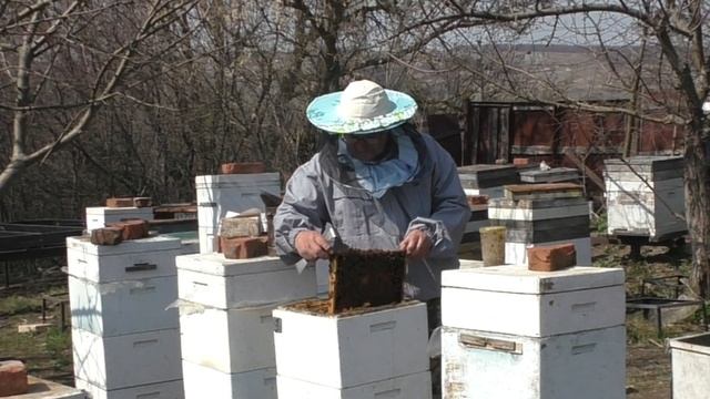 Немного об ульях Альпиец, или Роже Делона.