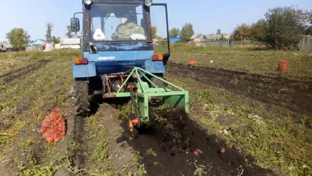 Копка картошки самодельной транспортёрной картофелекопалкой 2021 смотреть онлайн