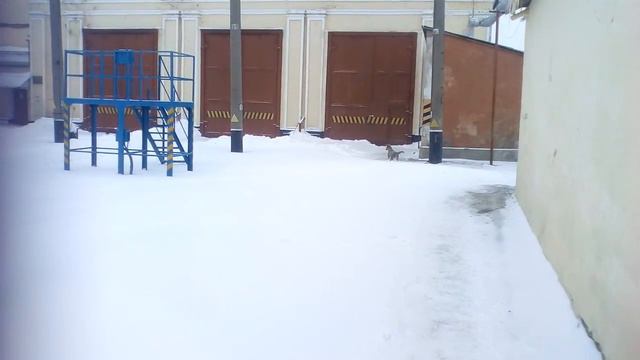 Джумба смотреть онлайн