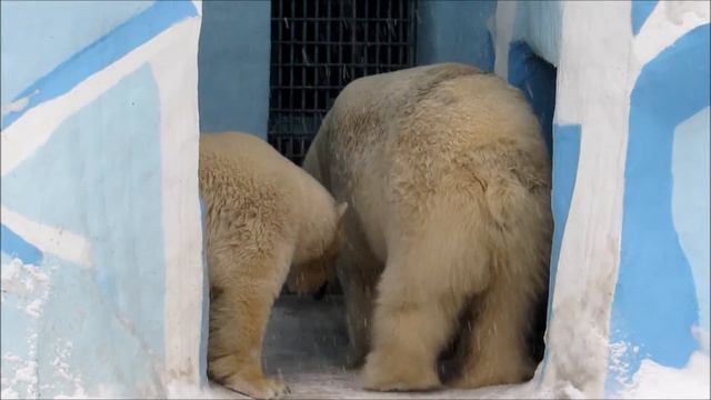 Кай и Герда милуются 21.03.18 смотреть онлайн